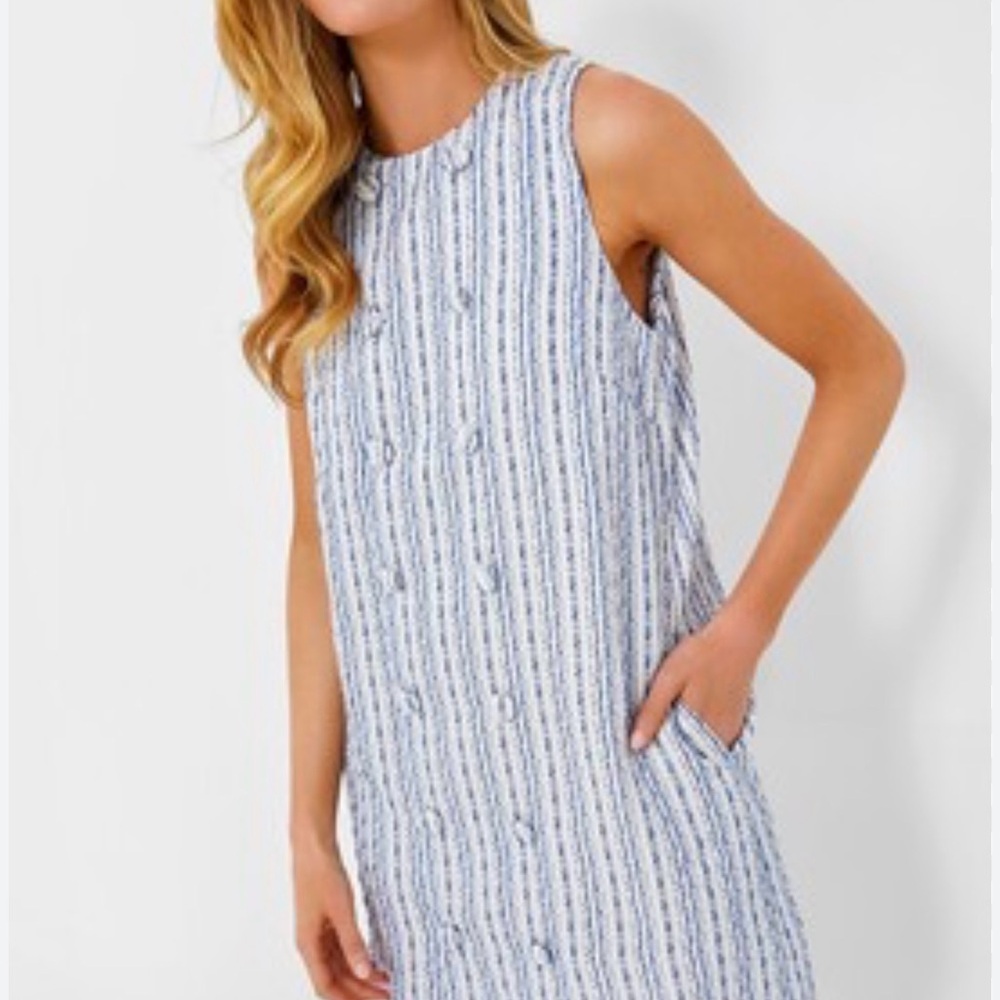 Pomander Place Blue and White Striped Mini Dress